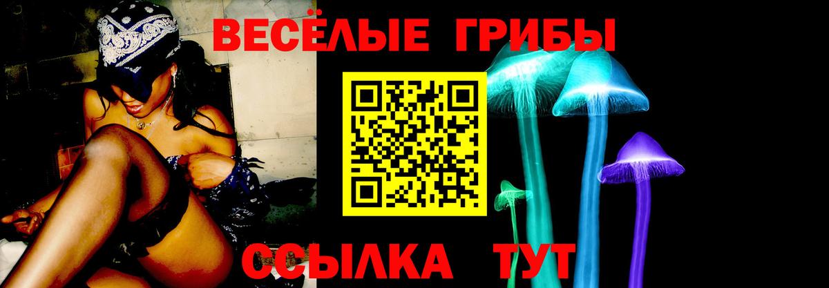 Псилоцибиновые грибы Magic Shrooms Майский